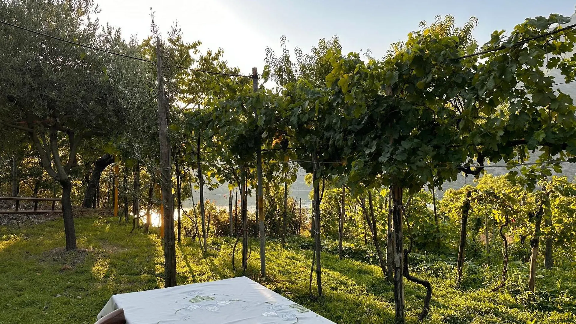 Gasthuis Lakeview Escape Koman Albanië