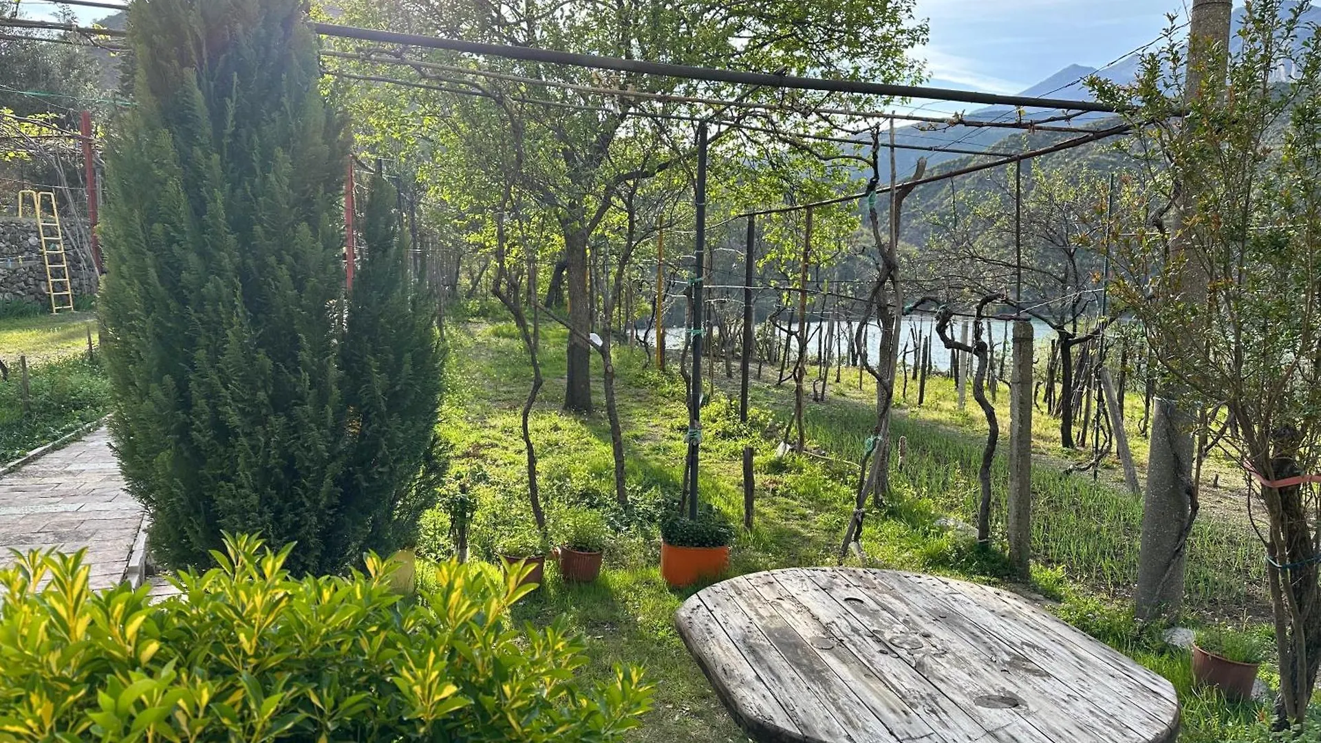Lakeview Escape Koman